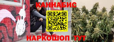 гашик Малгобек