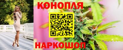 гашик Малгобек